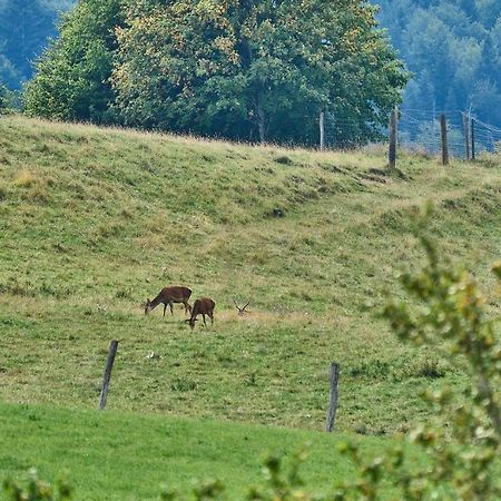 Hof Hauserbichl Фишбахау Экстерьер фото