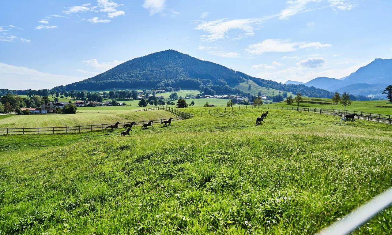 Hof Hauserbichl Фишбахау Экстерьер фото